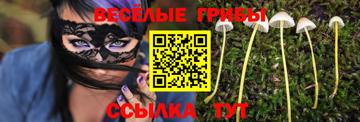 Урус-Мартан  Галлюциногенные грибы GOLDEN TEACHER  Вход с VPN 